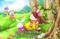 关于小白兔的睡前故事,小白兔的梦幻冒险