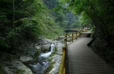 金丝峡国家森林公园,秦岭奇峡，生态王国之旅