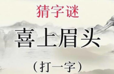 谜语超难以及答案,挑战超难谜语及答案之旅