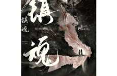 镇魂 小说,幽冥之界，守护者传奇