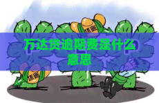 逾期知识fairy是什么意思
