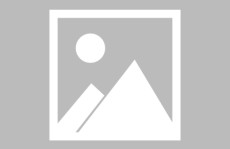 ）！放逐后奶凶凤崽带着全家开表挂畅读杰作保举-全文放逐后奶凶凤崽带着全家开表挂（2024年股市惊动汽车行业投资机缘显露头角