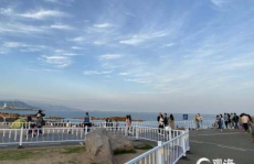 青岛岛网红,网红打卡地，魅力无限的海滨风情