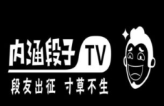 内涵段子停封真正原因,背后的原因与影响